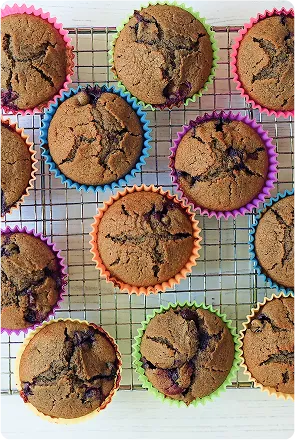 Blueberry Muffin Recipe